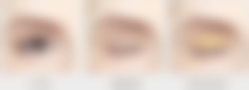 二、常冬青擅长项目