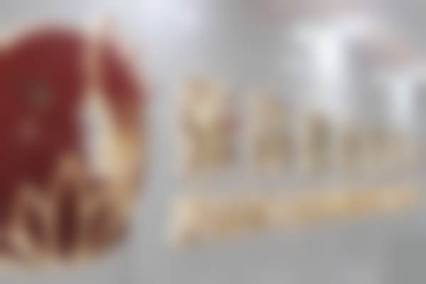 四、李思收费价格表