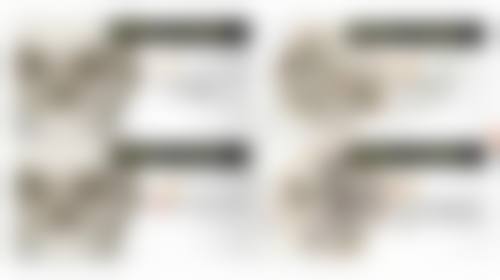 四、王伟民收费价格表