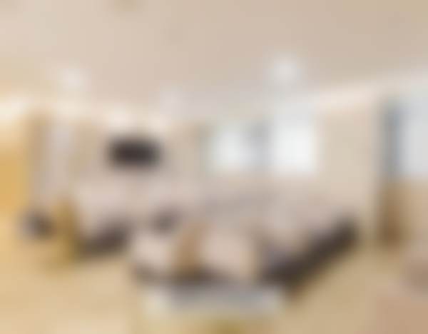 四、项目成效的显著呈现