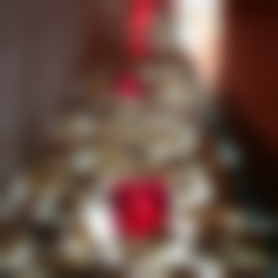 二、王肖琴擅长项目