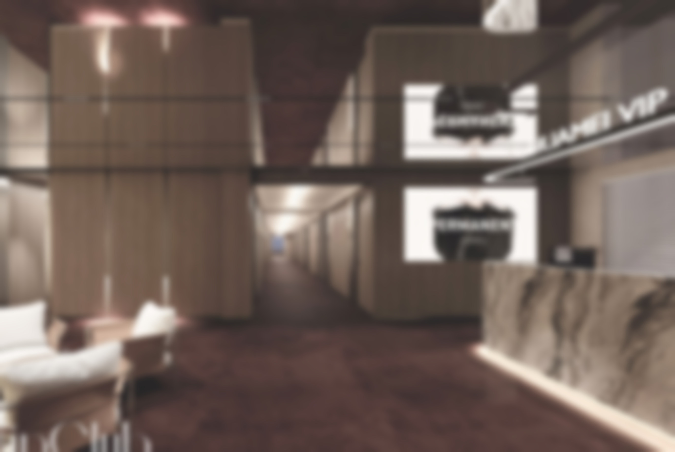 七、上海华美超声V拉美项目适合人群：精细定位需求者