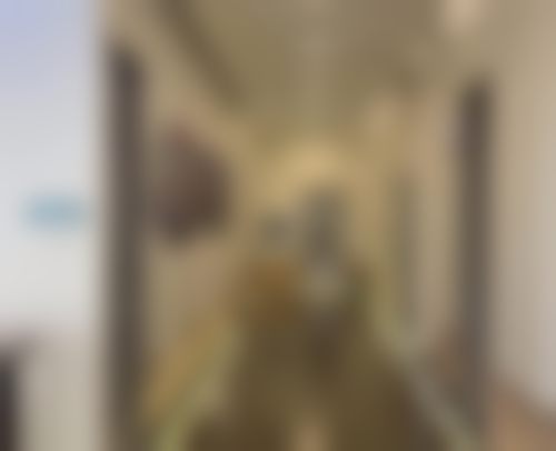 二、刘艳擅长项目