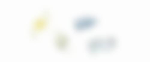 四、日常护理建议