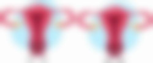 二、王亚娟擅长项目