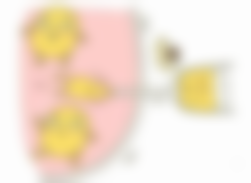 四、其他治疗方法