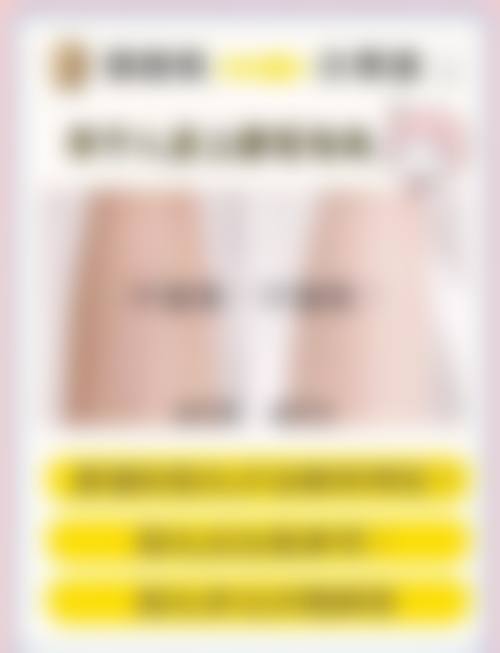 三、贺莉技术优势