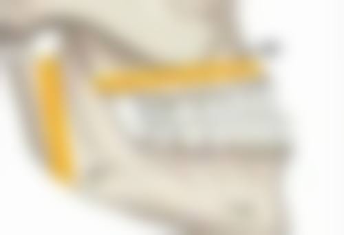 一、切开双眼皮修复的修复周期