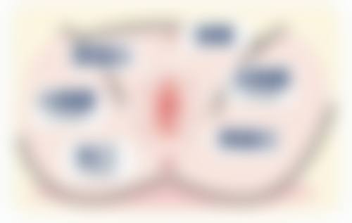 三、巩凤霞技术优势