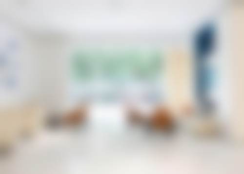 二、（杨媛媛）擅长项目