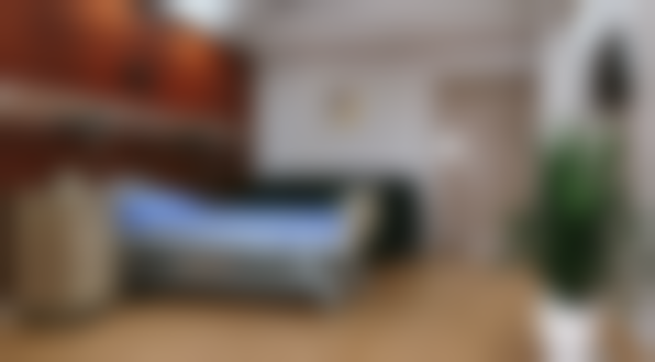 三、洪伟技术优势