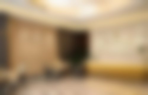 二、袁欣擅长项目