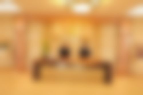 二、石仁慧擅长项目