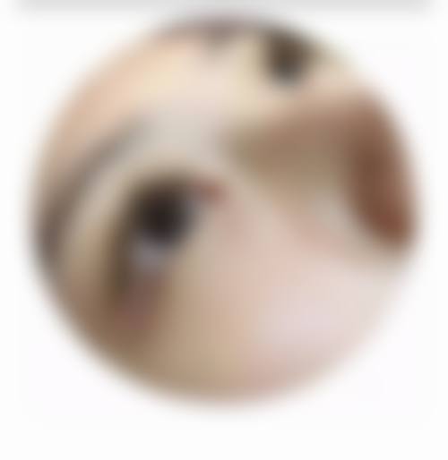 四、重庆医科大学附属第一医院(医疗美容科)特色项目