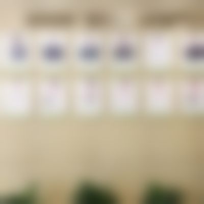 二、钟奇擅长项目