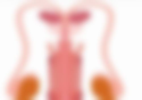 一、遗传概率大揭秘