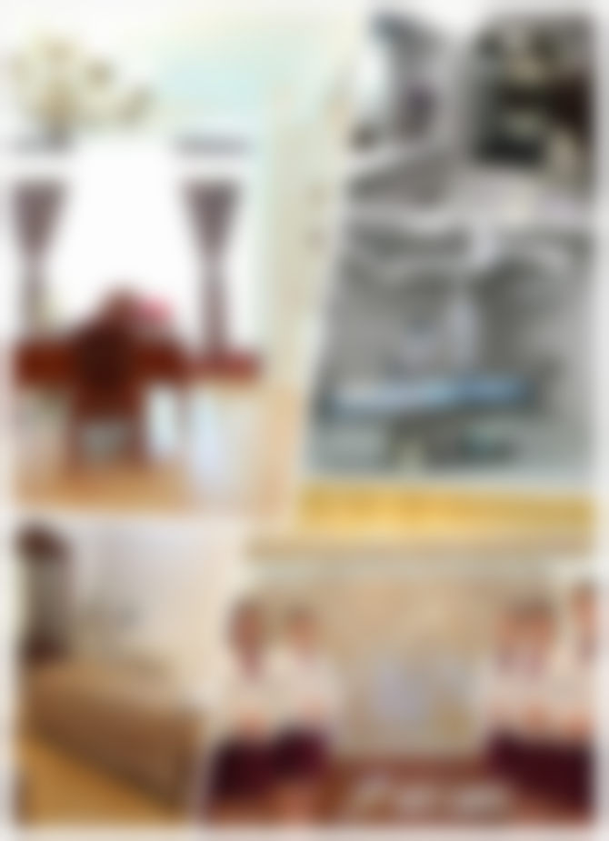 二、刘照擅长项目