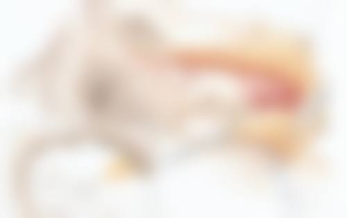 二、武汉斯启诺医疗美容门诊部刘敏先医生简介