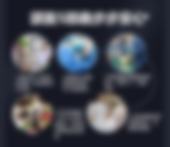 四、林茂辉收费价格表