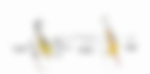 三、非手术医美手段