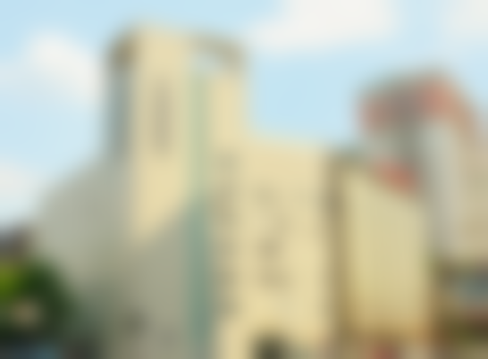 二、谢雯擅长项目