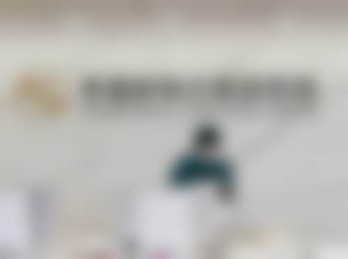 二、李石擅长项目