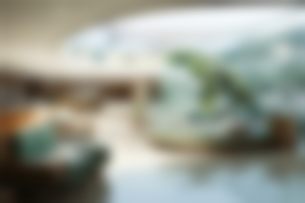 吴玉家特聘专家