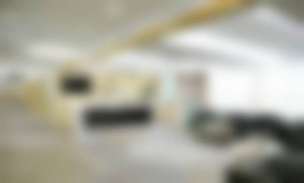 三、赵仪雯技术优势