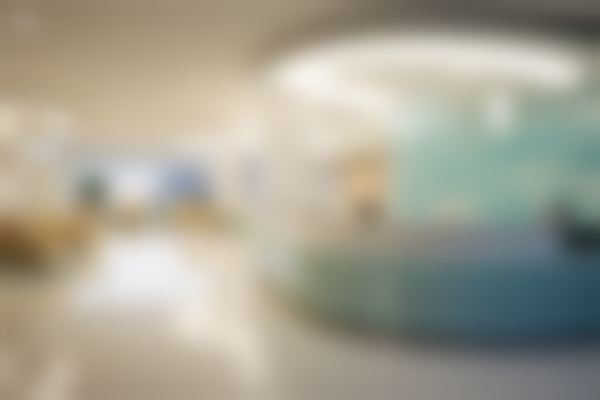 三、张侠技术优势