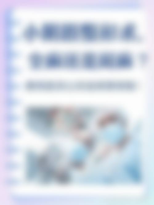 二、林哲秀擅长项目