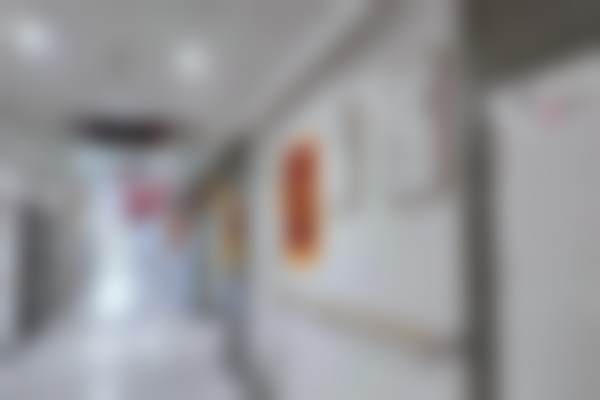 二、何军擅长项目