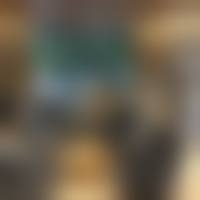 三、胡志熊技术优势