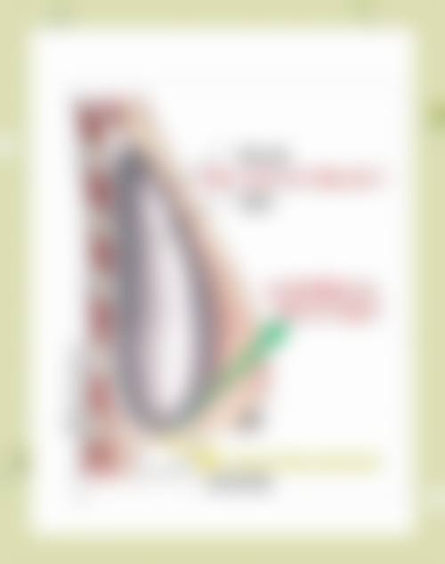 四、甘孜州人民医院整形美容科特色项目