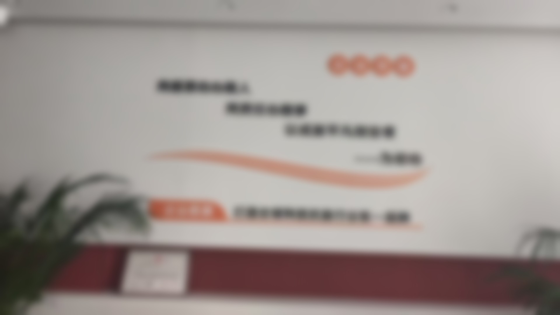 三、淮滨美雅天睿医疗美容诊所诊疗项目有哪些？