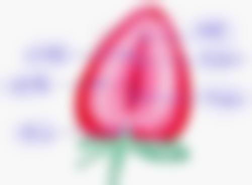 四、巩凤霞收费价格表