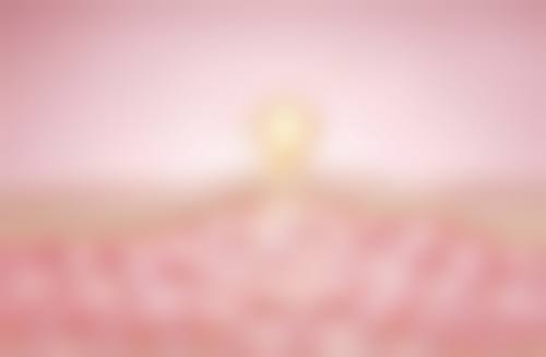 二、手术实现内双的关键点