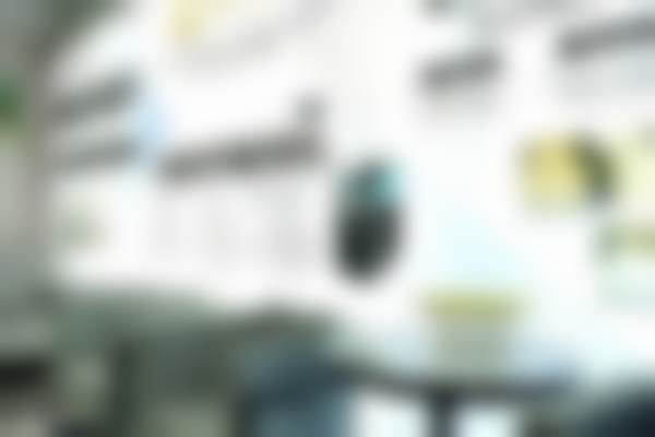 四、林朝龙收费价格表