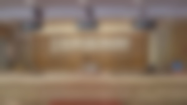 二、钟奇擅长项目