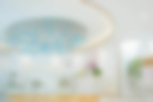 三、项目免费补贴与保护