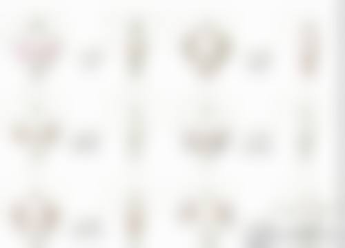 六、成都丽百颜整形美容外科诊所价格表