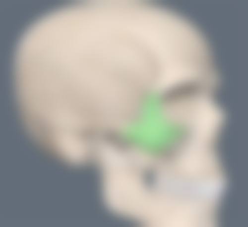 一、肋软骨隆鼻的基本情况