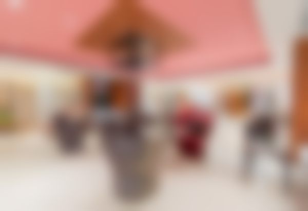 三、许炎龙技术优势