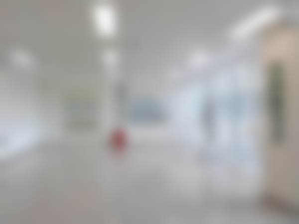 五、朱琳怎么预约？