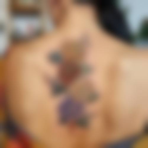 五、重庆三峡医药高等专科学校第二附属医院整形外科价格表