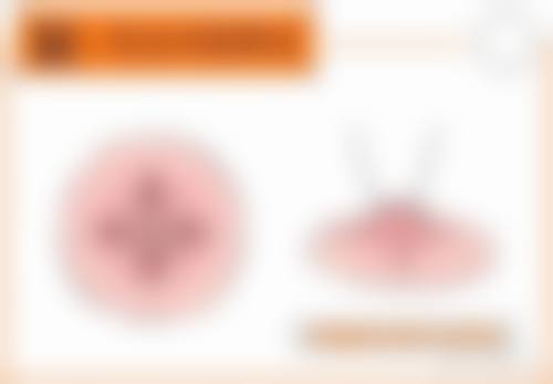 七、重庆三峡医药高等专科学校第二附属医院整形外科预约方式