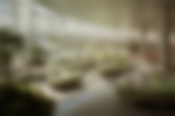 二、咸阳秦都华艺天姿医疗美容门诊部怎么样？