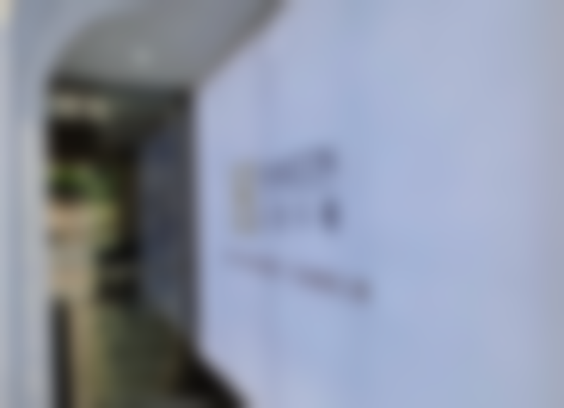 二、石晓军擅长项目