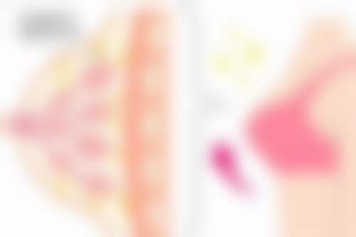 五、宗雷怎么预约？