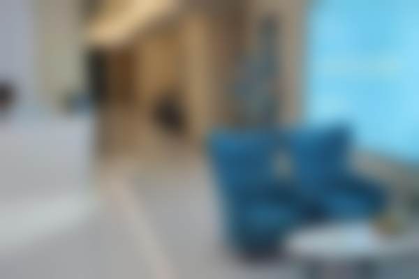 三、何雪莲技术优势