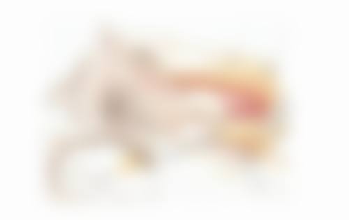 四、5岁宝宝眼袋发紫可能与贫血有关